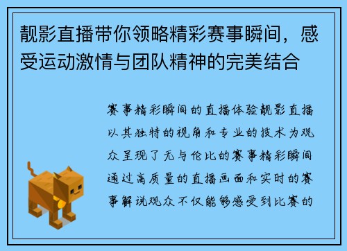 靓影直播带你领略精彩赛事瞬间,感受运动激情与团队精神的完美结合